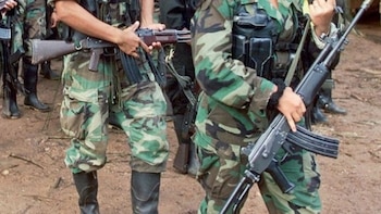 Paramilitares habrían utilizado caimanes para