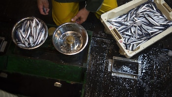 La AESAN lanza una alerta