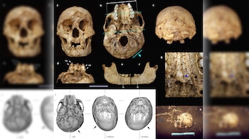 Múltiples vistas de cráneos y mandíbulas de homininos, junto con modelos tridimensionales de cráneos y una imagen de un cráneo en sitio de excavación.