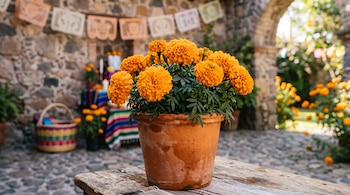 Maceta de barro con flores naranjas de cempasúchil sobre una mesa de madera, con un patio de piedra y papel picado al fondo.