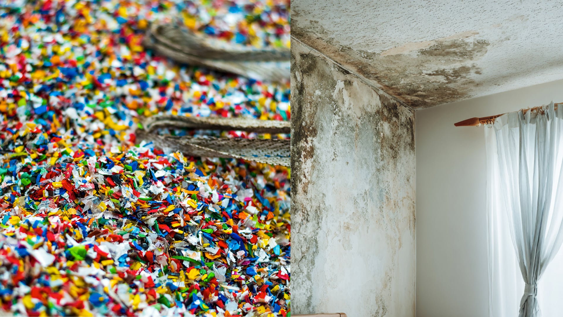 Los microplásticos, metales pesados, moho y parásitos aumentan la prevalencia de enfermedades de origen ambiental en la población mundial (Freepik/Imagen Ilustrativa Infobae)