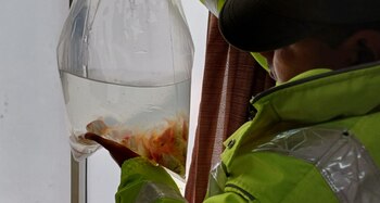 En un ómnibus, la Gendarmería