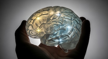 Una mano sostiene un cerebro artificial de silicona translúcida con reflejos dorados y azules, sobre un fondo gris degradado.