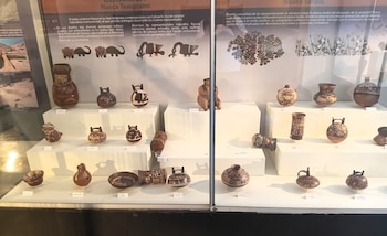 O Museu Regional de Ica “Adolfo Bermúdez Jenkins” encontrou rachaduras em algumas salas, embora não tenha havido danos ao acervo ou ao espaço expositivo. Difusão