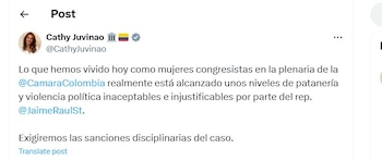 Catherine Juvinao también arremetió en