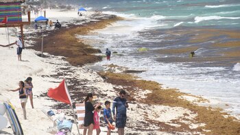 Sargazo mantiene 41 spiagge a