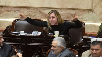 Tratamiento "Ley bases votación particular"