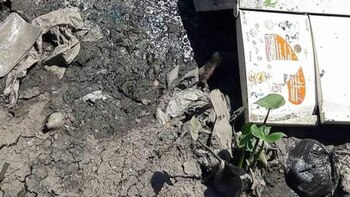 Ortiz fue condenado por "homicidio