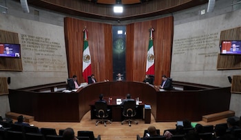 Legisladores piden deslindar responsabilidades ante las presuntas irregularidades.
Crédito: X / @TEPJF_informa