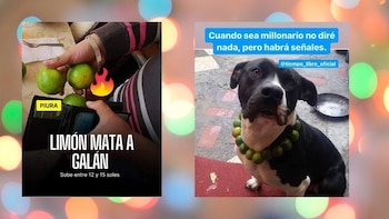 Usuarios de redes sociales crearon
