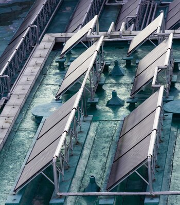 Un grupo de científicos ha