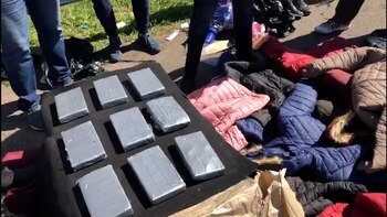 La cocaína hallada entre camperas