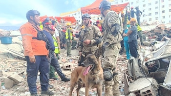La misión humanitaria argentina en Venezuela rescató a dos personas entre los escombros con la ayuda de un can especializado