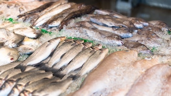 La merluza, el pescado rico en proteínas que protege el sistema nervioso y cuida los huesos y los músculos