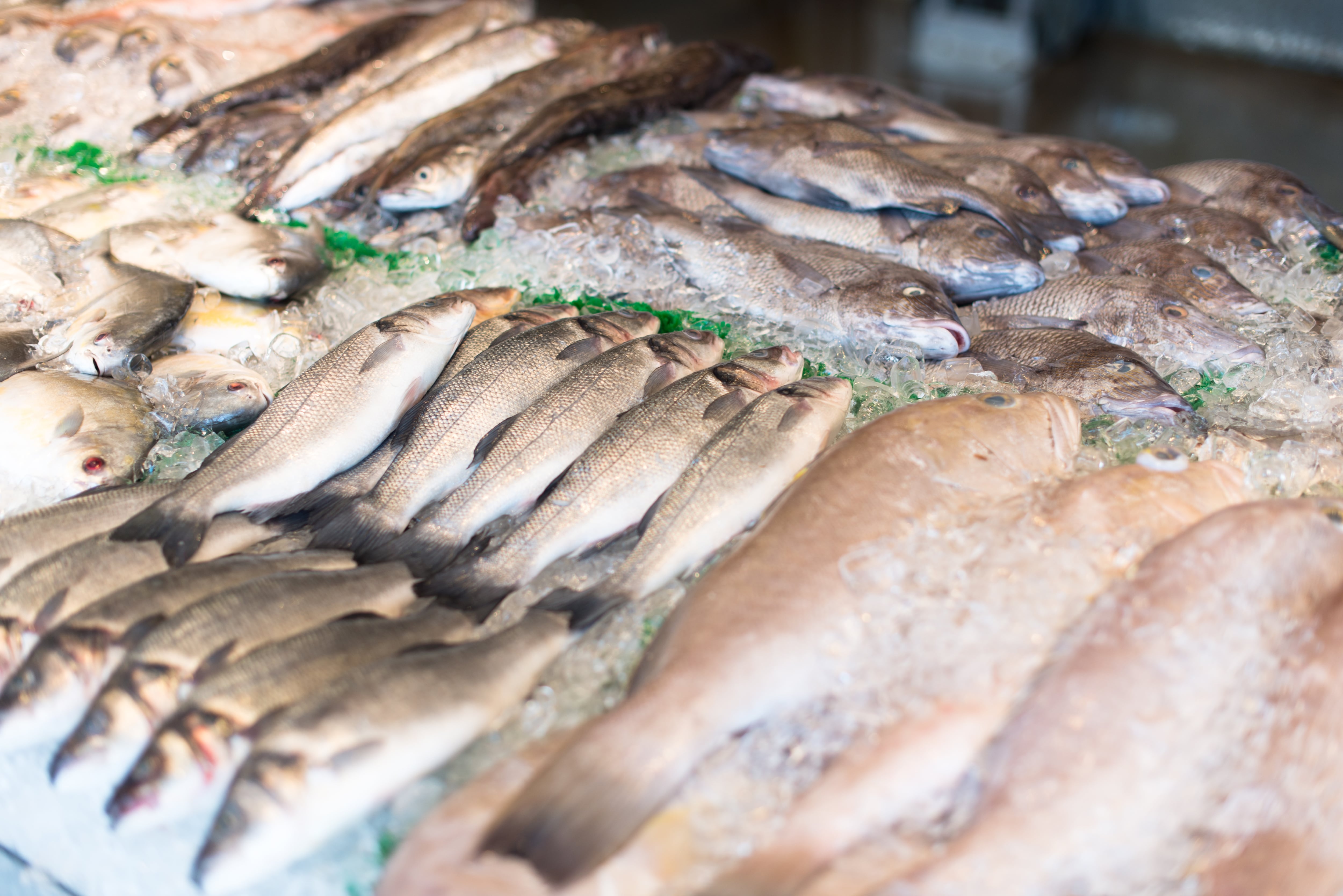 Imagen recurso de una pescadería (Magnific)