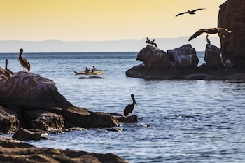 Cielo amarillo y azul sobre el mar. Varias rocas en el agua con pelícanos posados y volando. Dos personas en un kayak amarillo en el agua