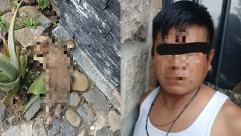 Autoridades municipales de El Salto arrestaron a José Manuel "N" tras recibir reportes de vecinos que alertaron sobre la muerte de un cachorro en un domicilio de la colonia Circuito del Mecánico. Crédito: Especial