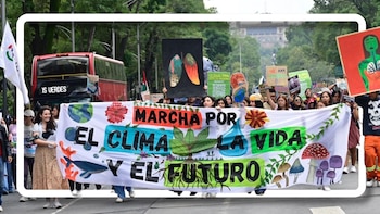 Autoridades de Jalisco arrestan a defensor ambiental pese a protección legal: “Proteger el medio ambiente no es delito”