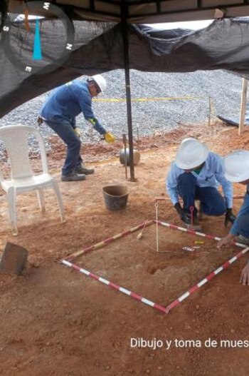 De acuerdo con los expertos,