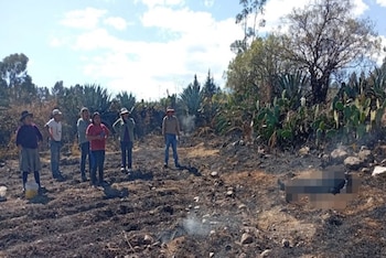 La Fiscalía Especializada en Materia