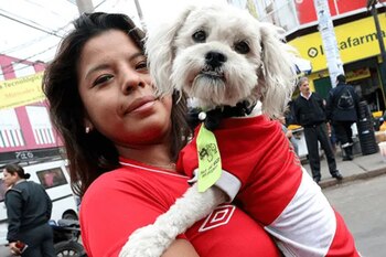 Mascotas también alentarán a la