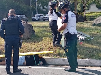 Conductores y residentes del sector alertaron a los cuerpos de socorro tras detectar los cadáveres en el arriate central del bulevar.