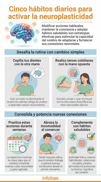 Infografía con título Cinco hábitos diarios para activar la neuroplasticidad. Muestra un cerebro y personas realizando tareas cotidianas con la mano opuesta.