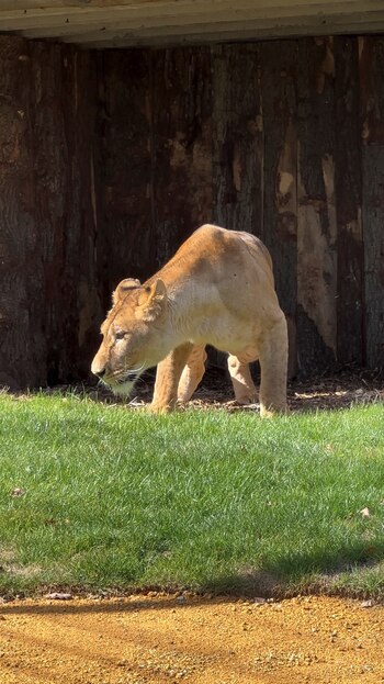 Poco a poco recupera fuerzas