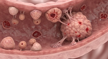 Representación 3D del interior de