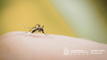 Honduras: Departamento de Olancho en alerta roja por epidemia de dengue