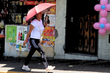 Se espera que la ola de calor se extienda hasta el 16 de abril. (API/ El Comercio)