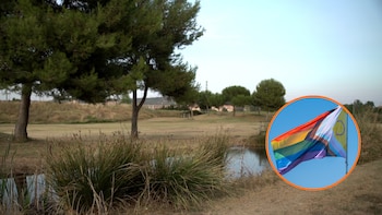 Doce detenidos por dos agresiones homófobas en Palencia: golpearon y humillaron a las víctimas en un parque tras quedar con un “cebo” mediante una aplicación
