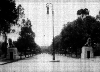 Vista general de los pasillos