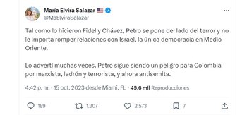 La representante a la Cámara