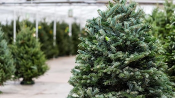 “Me devuelves esa vaina, olvídate