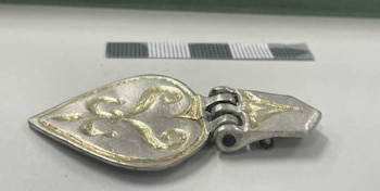 El hallazgo, coordinado por el