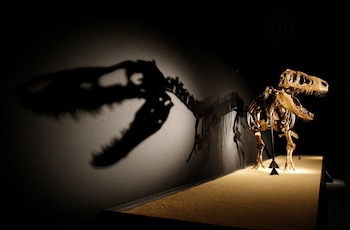 Los científicos compararon las composiciones