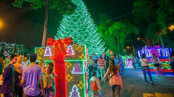 Medellín tendrá nuevamente alumbrados con