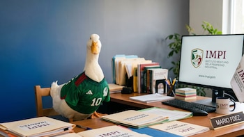 La disputa por el Pato Merlín se complica para sus dueños: IMPI confirma que revisa varias solicitudes de registro