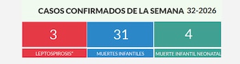 Casos reportados durante la semana 32 de 2026: 3 de leptospirosis, 31 muertes infantiles y 4 muertes infantiles neonatales (Cortesía: Salud Pública RD).