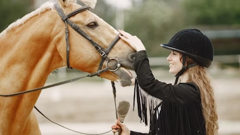 Del turf al polo: cómo el caballo se convirtió en una industria clave para la Argentina