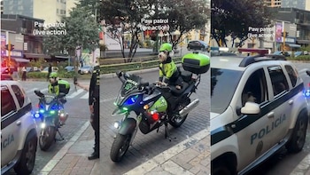 Ellos son General y Teniente, los perros uniformados que patrullan las calles de Bogotá