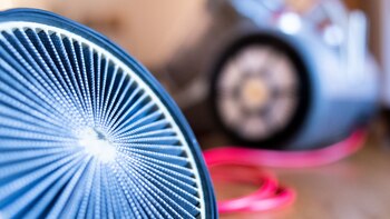 Pollen, Staub und Milben: Wie