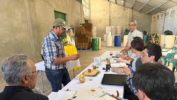 La visita de empresas japonesas