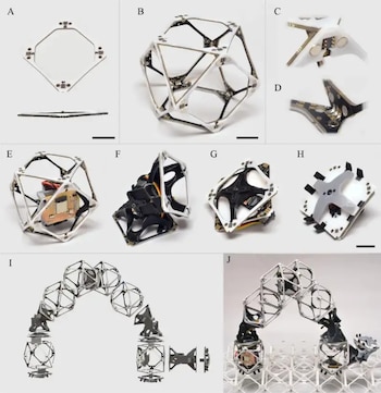 Investigadores del MIT crean robot