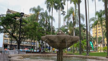 Drásticos cambios en la tradicional