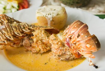 Plato de langosta (Crédito: prensa