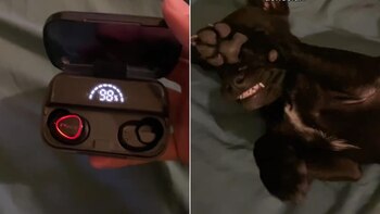 El video alcanzó más de