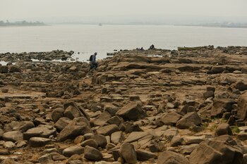 Científicos destacan la deforestación del