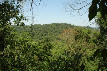 Parque del Turvo (Wikipedia)